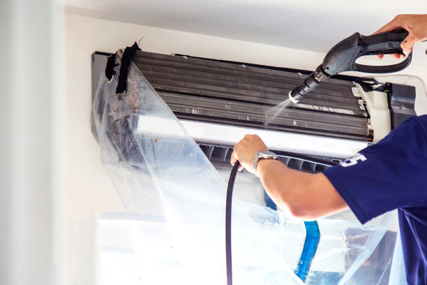 Best Professional Duct Cleaning Services  in Lena, IL