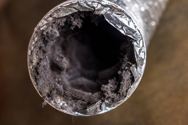 Best Ductwork Cleaning Services  in Lena, IL